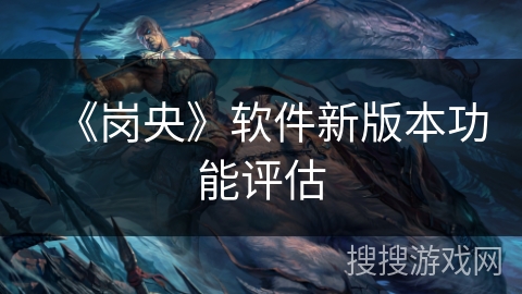 《岗央》软件新版本功能评估