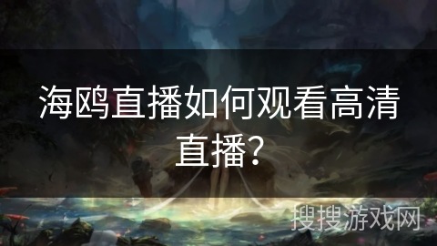 海鸥直播如何观看高清直播？
