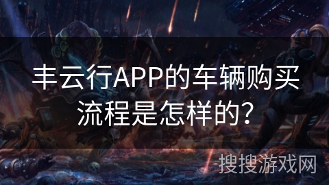 丰云行APP的车辆购买流程是怎样的？