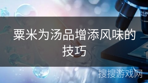 粟米为汤品增添风味的技巧