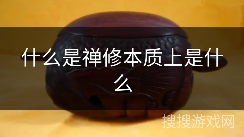 什么是禅修本质上是什么