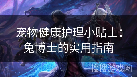 宠物健康护理小贴士：兔博士的实用指南