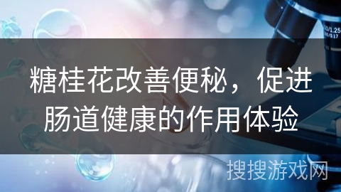 糖桂花改善便秘，促进肠道健康的作用体验