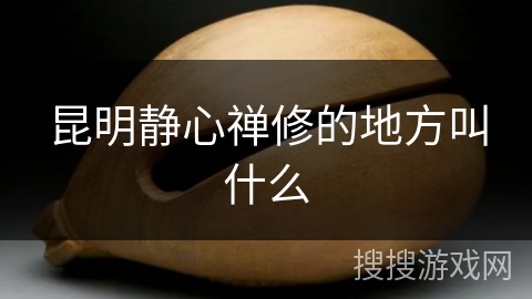 昆明静心禅修的地方叫什么