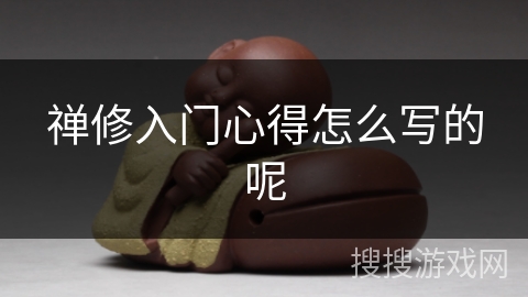 禅修入门心得怎么写的呢