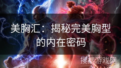 美胸汇：揭秘完美胸型的内在密码
