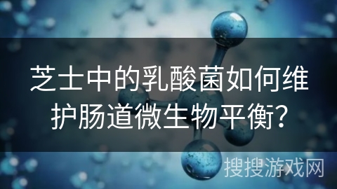 芝士中的乳酸菌如何维护肠道微生物平衡？