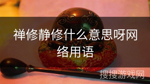 禅修静修什么意思呀网络用语