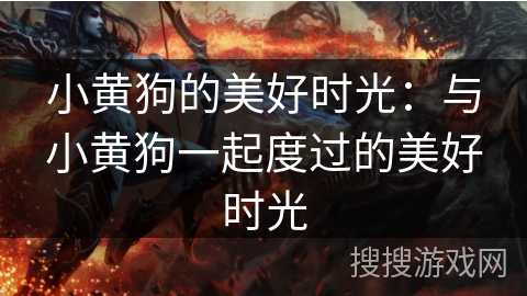 小黄狗的美好时光:与小黄狗一起度过的美好时光 小黄狗的美好时光:与小黄狗一起度过的美好时光