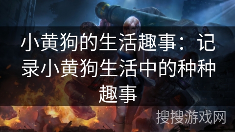 小黄狗的生活趣事：记录小黄狗生活中的种种趣事