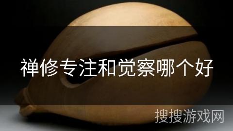 禅修专注和觉察哪个好