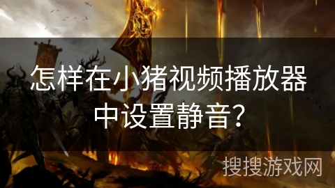 怎样在小猪视频播放器中设置静音？