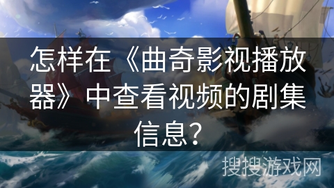 怎样在《曲奇影视播放器》中查看视频的剧集信息？