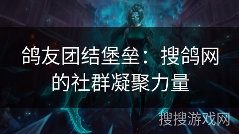 鸽友团结堡垒：搜鸽网的社群凝聚力量
