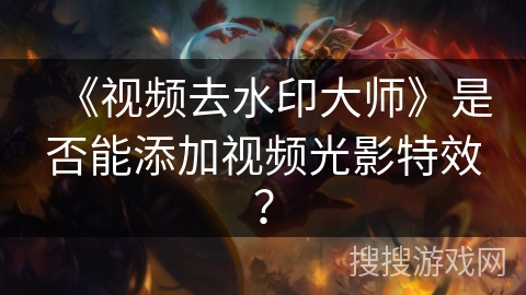 《视频去水印大师》是否能添加视频光影特效？