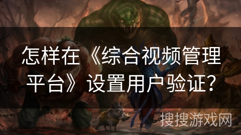 怎样在《综合视频管理平台》设置用户验证？