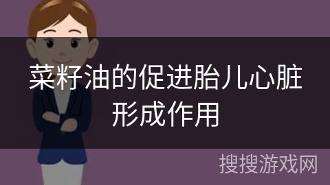 菜籽油的促进胎儿心脏形成作用