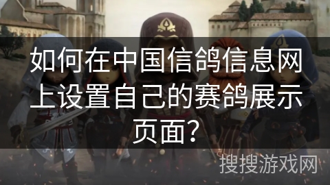 如何在中国信鸽信息网上设置自己的赛鸽展示页面？