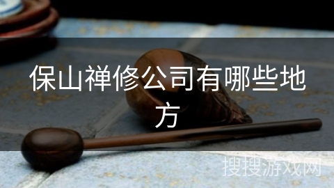 保山禅修公司有哪些地方