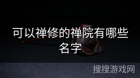 可以禅修的禅院有哪些名字 可以禅修的禅院有哪些名字
