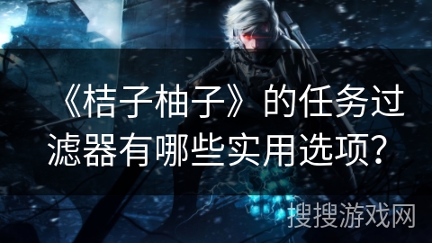 《桔子柚子》的任务过滤器有哪些实用选项？