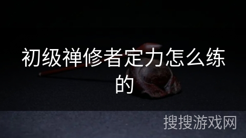 初级禅修者定力怎么练的