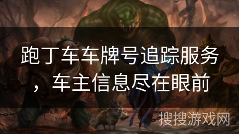 跑丁车车牌号追踪服务，车主信息尽在眼前