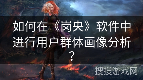 如何在《岗央》软件中进行用户群体画像分析？
