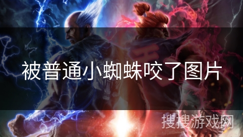被普通小蜘蛛咬了图片