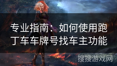 专业指南：如何使用跑丁车车牌号找车主功能