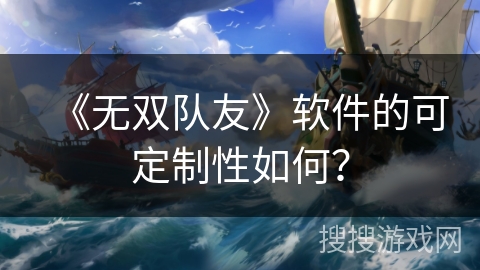 《无双队友》软件的可定制性如何? 《无双队友》软件的可定制性如何?