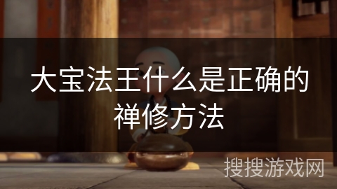 大宝法王什么是正确的禅修方法