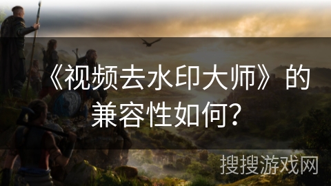《视频去水印大师》的兼容性如何？