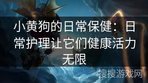 小黄狗的日常保健：日常护理让它们健康活力无限