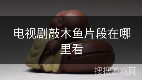 电视剧敲木鱼片段在哪里看