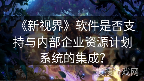 《新视界》软件是否支持与内部企业资源计划系统的集成？