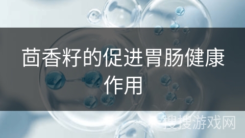 茴香籽的促进胃肠健康作用