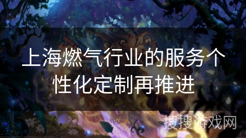 上海燃气行业的服务个性化定制再推进 上海燃气行业的服务个性化定制再推进