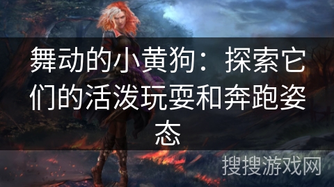舞动的小黄狗：探索它们的活泼玩耍和奔跑姿态