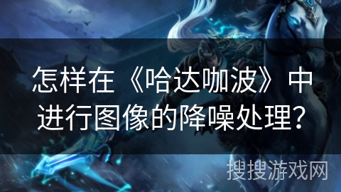 怎样在《哈达咖波》中进行图像的降噪处理？