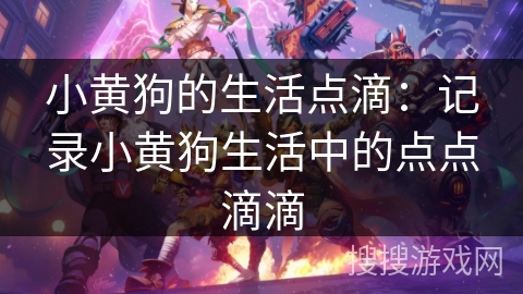 小黄狗的生活点滴：记录小黄狗生活中的点点滴滴