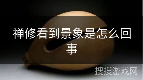 禅修看到景象是怎么回事