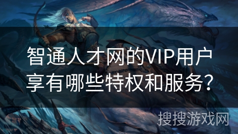 智通人才网的VIP用户享有哪些特权和服务？