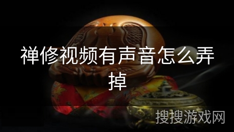 禅修视频有声音怎么弄掉 禅修视频有声音怎么弄掉
