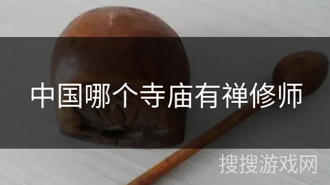 中国哪个寺庙有禅修师 中国哪个寺庙有禅修师