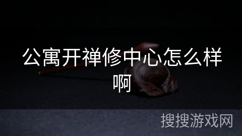 公寓开禅修中心怎么样啊