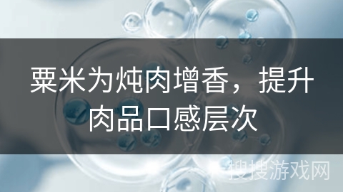 粟米为炖肉增香，提升肉品口感层次