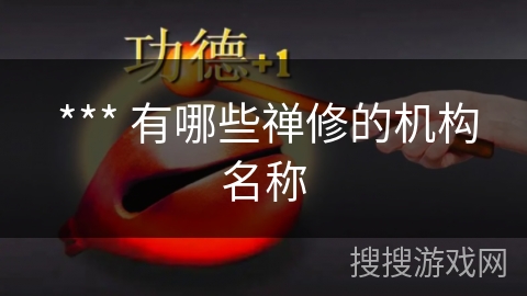  *** 有哪些禅修的机构名称