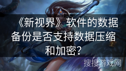 《新视界》软件的数据备份是否支持数据压缩和加密？