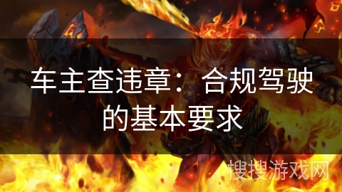 车主查违章：合规驾驶的基本要求